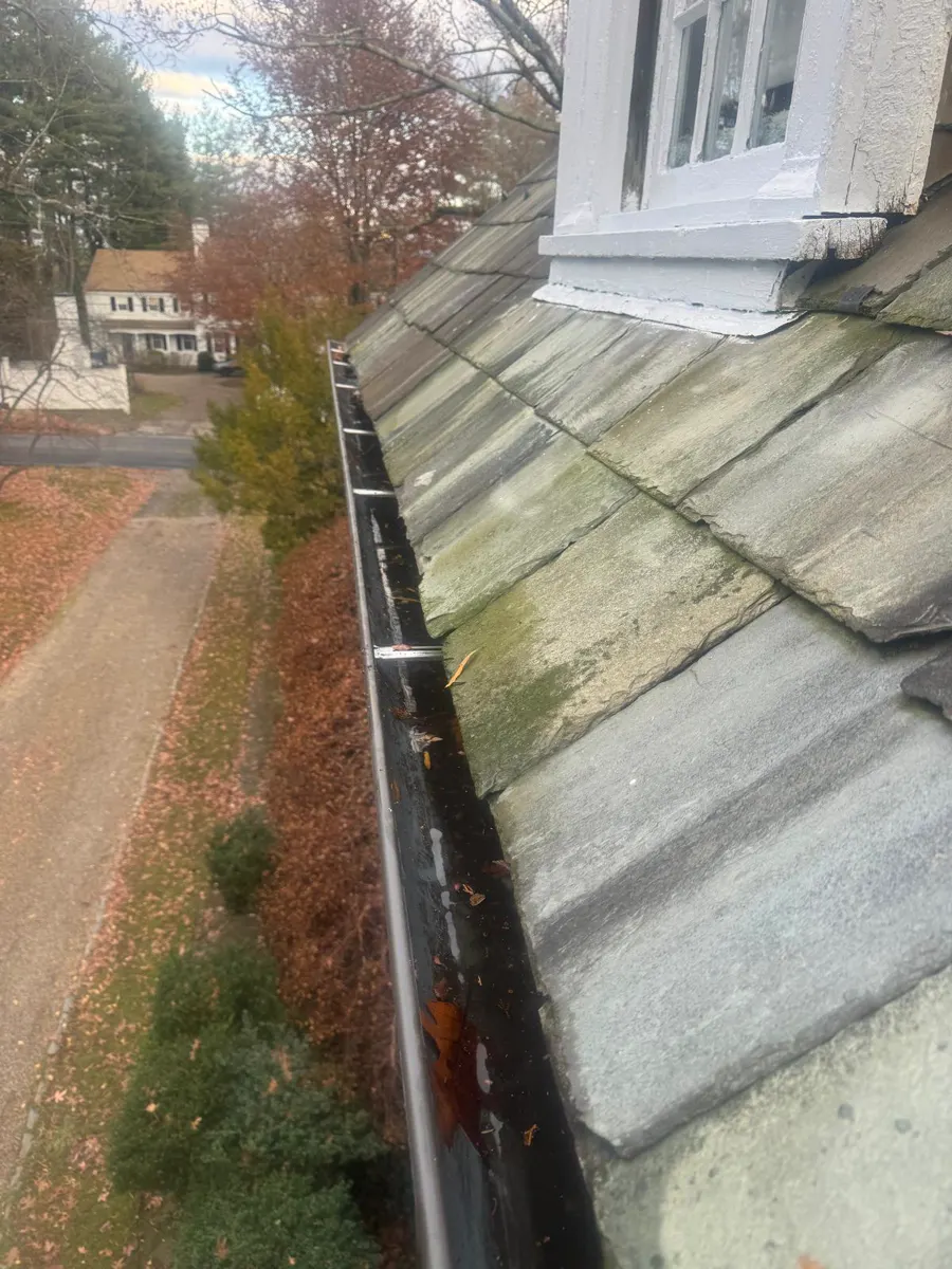 After: Gutters full of leaves, cleaned out