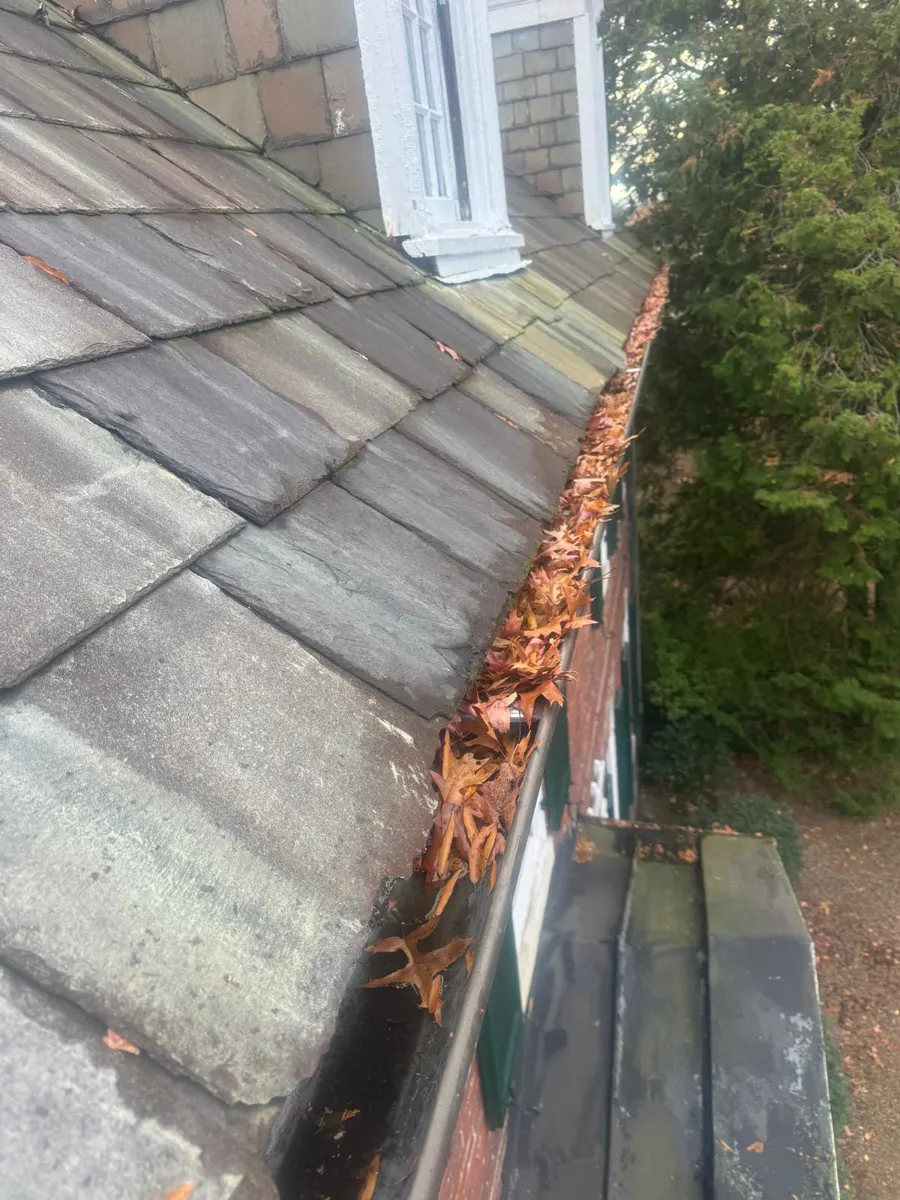 Before: Gutters full of leaves, cleaned out